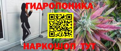 гашиш Будённовск