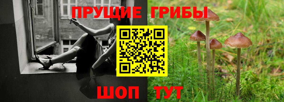 Галлюциногенные грибы Cubensis  Псилоцибиновые грибы мицелий  Вход с VPN  Пыть-Ях 